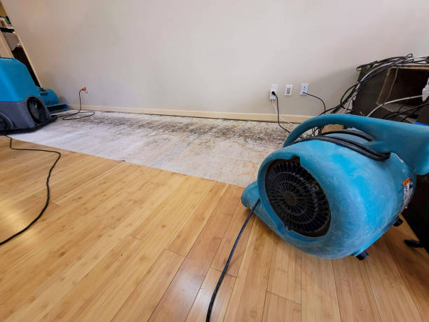Professional Basement Flood Cleanup technician working in Woburn, MA